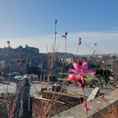 Residenza Maritti Contemporarysuite - Rome